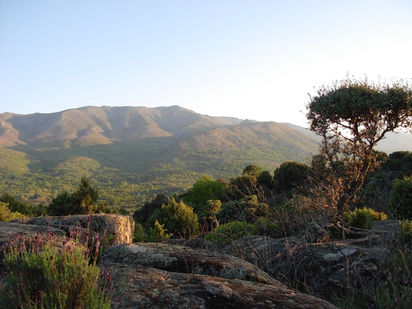 2008-05-01, tarde 017