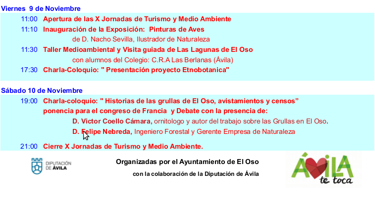 Captura de pantalla de 2018-11-06 17-52-30