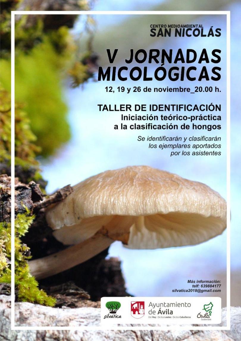 photo_2018-11-19_12-24-04