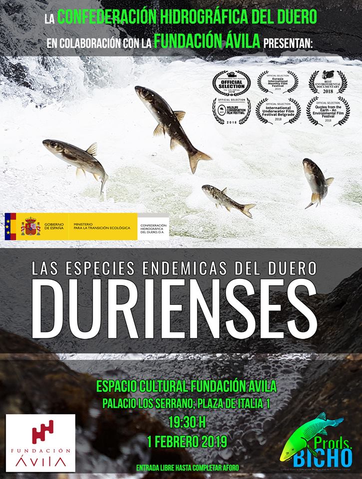 50896876_2400487956681878_7823012814875787264_n