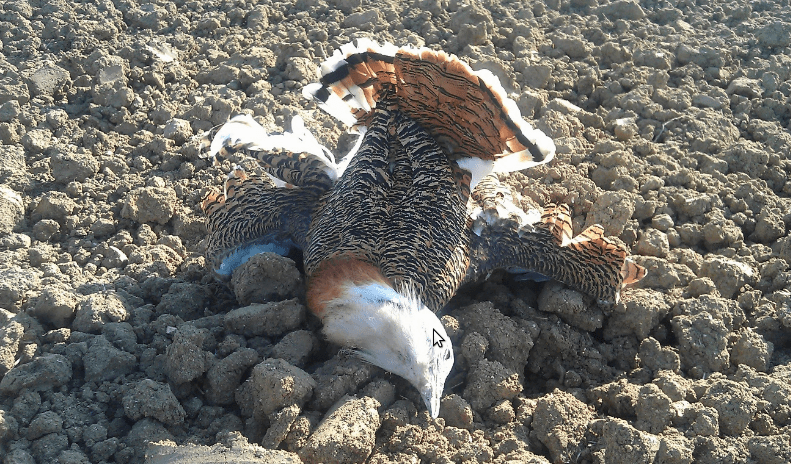 Captura de pantalla de 2019-02-04 13-19-36