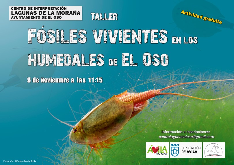 cartel triops impresión