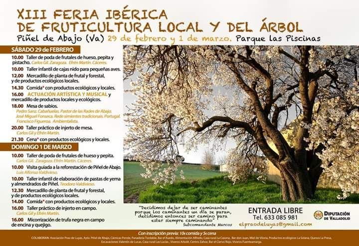 photo_2020-02-10_22-56-00