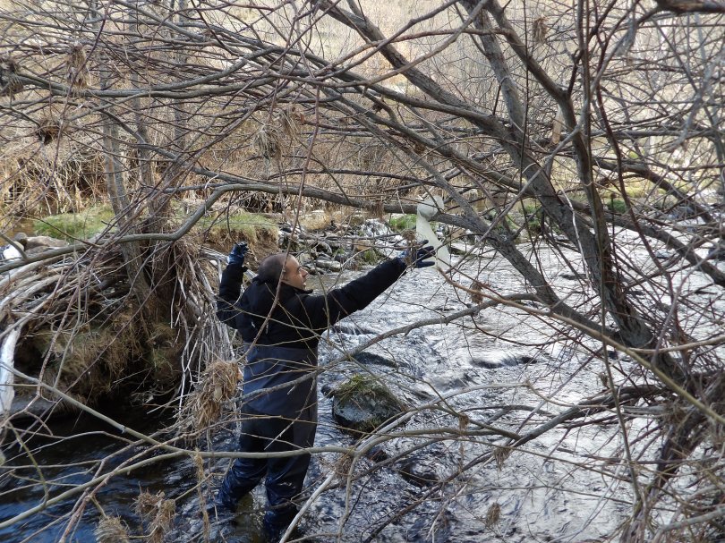 KODAK Digital Still Camera