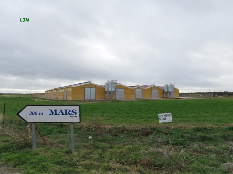 _MACROGRANJA CERDOS IMG_0601 B O-19-20