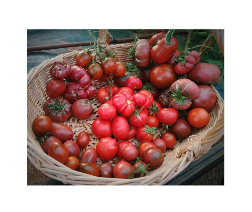 photo_2020-08-18_12-42-40