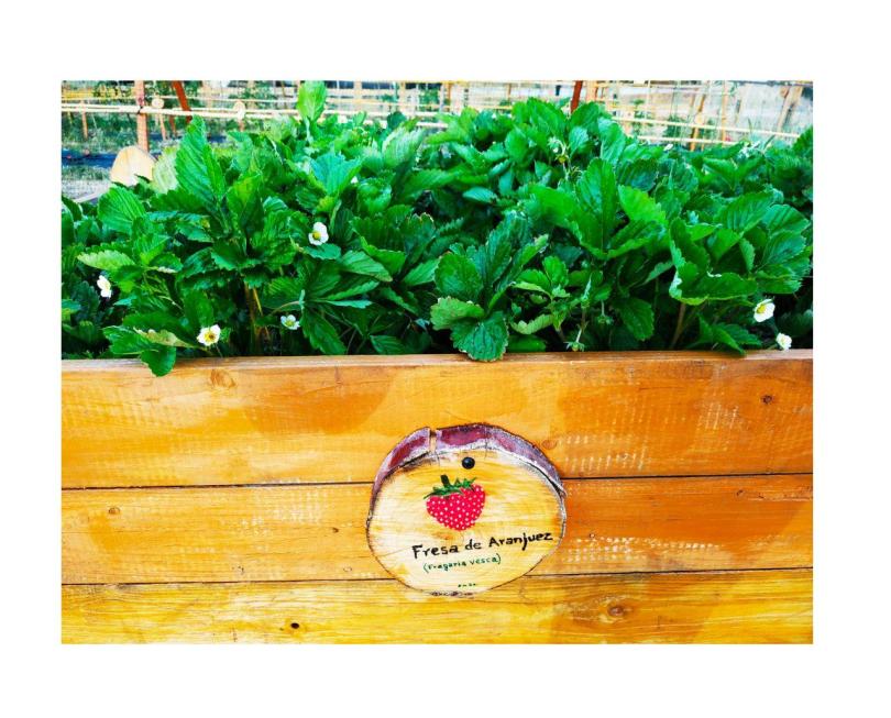 photo_2020-08-18_12-50-52