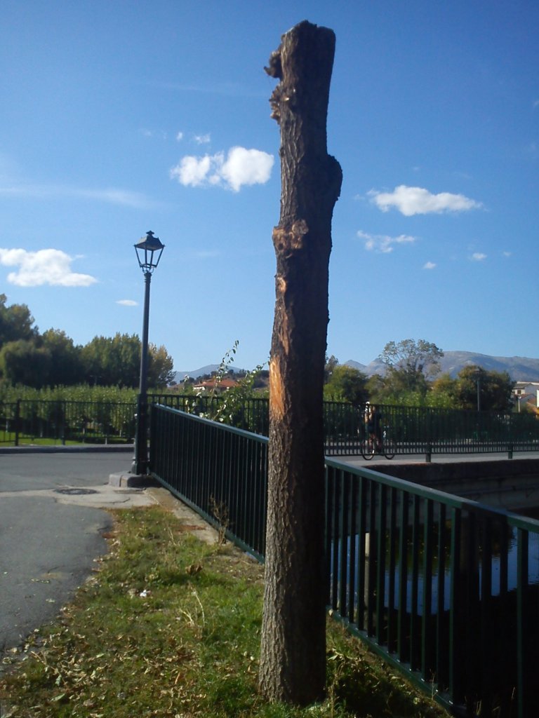 La imagen tiene un atributo ALT vacío; su nombre de archivo es dsc00163.jpg